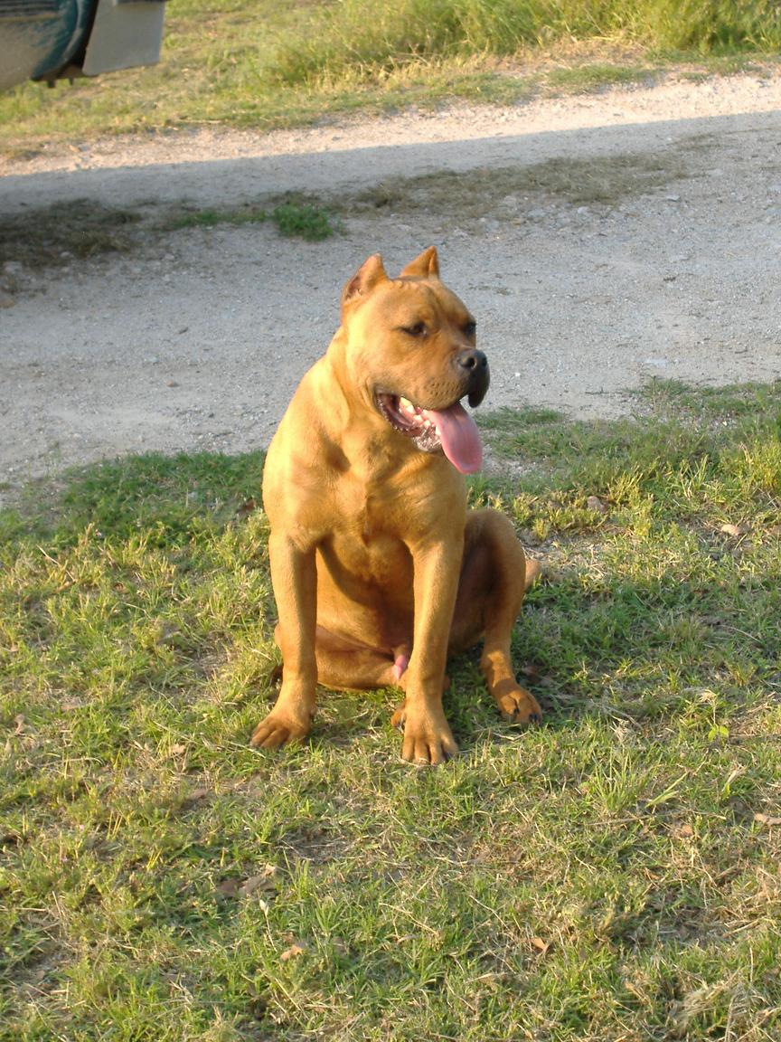 dscf1507.jpg