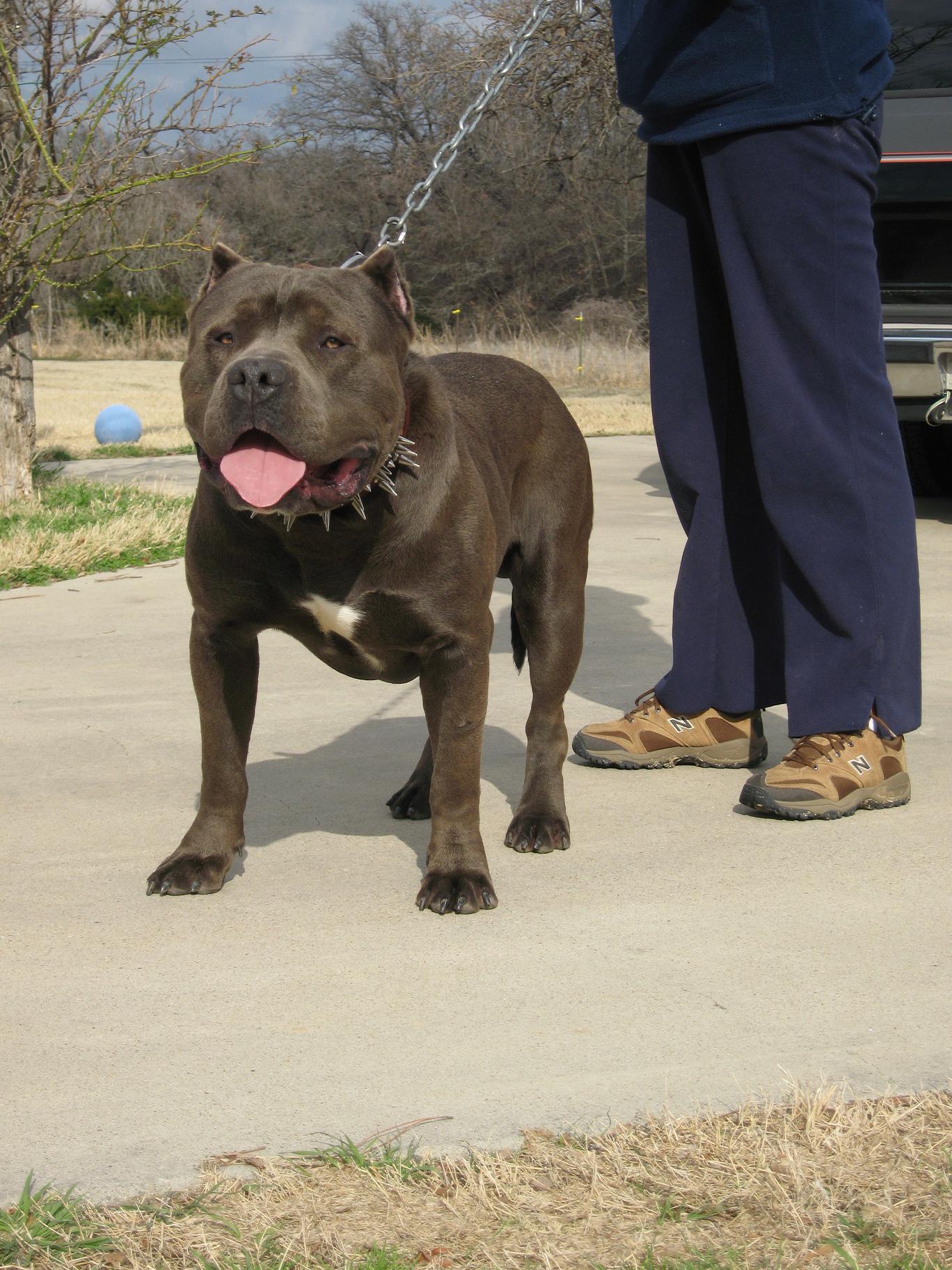 mack14months.jpg