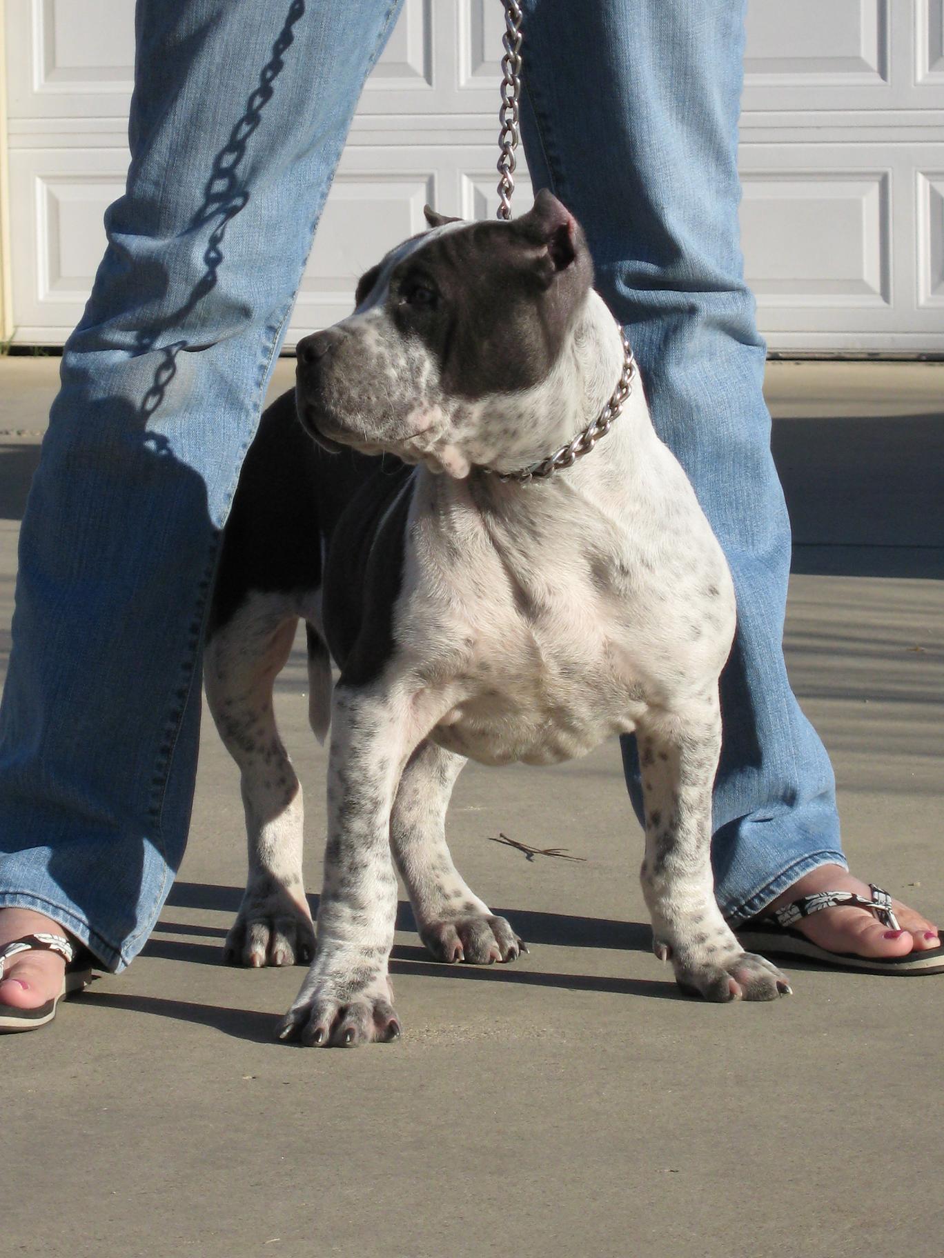 rhino14weeks005.jpg